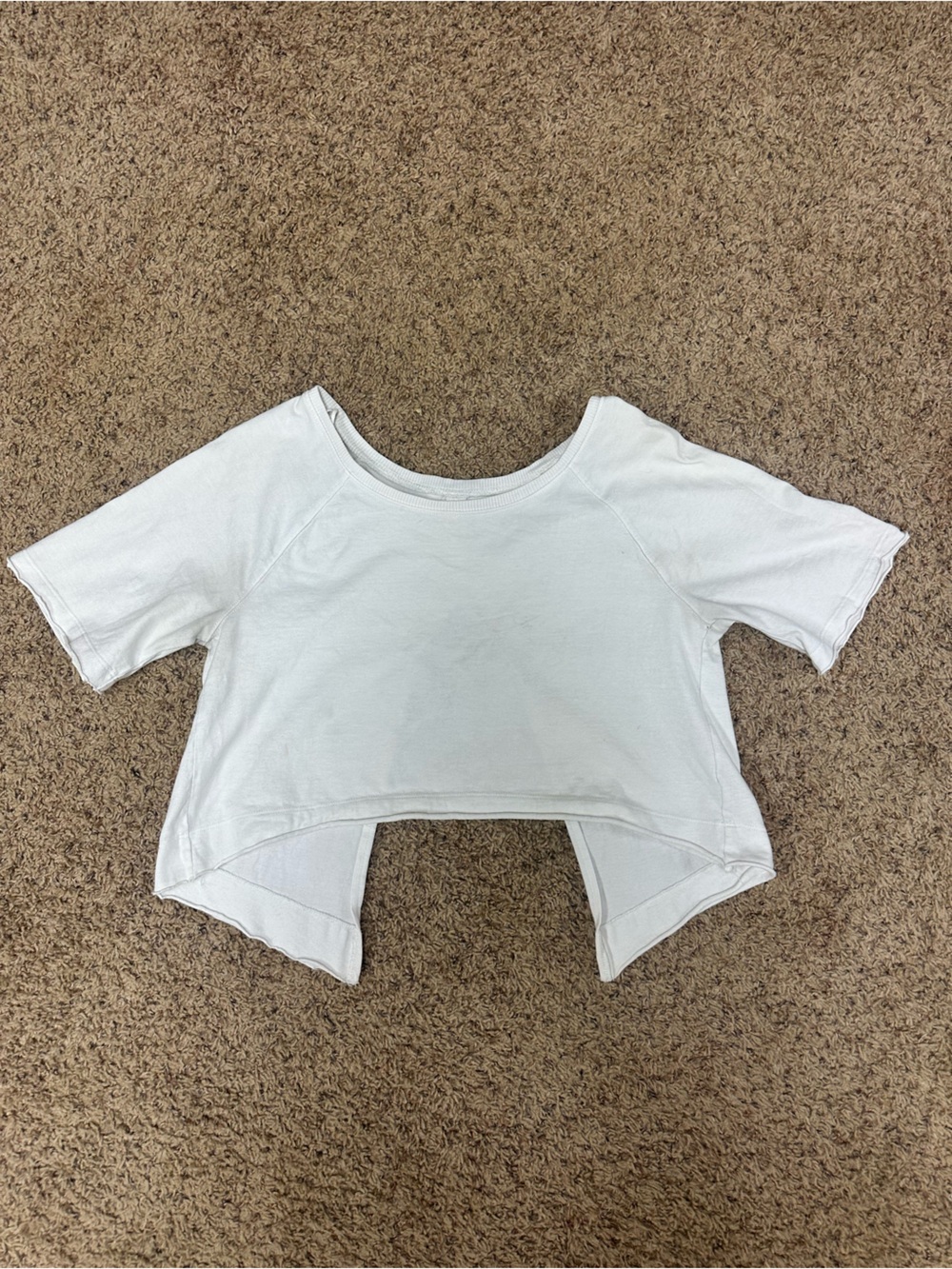 We the Free Cropped Tee